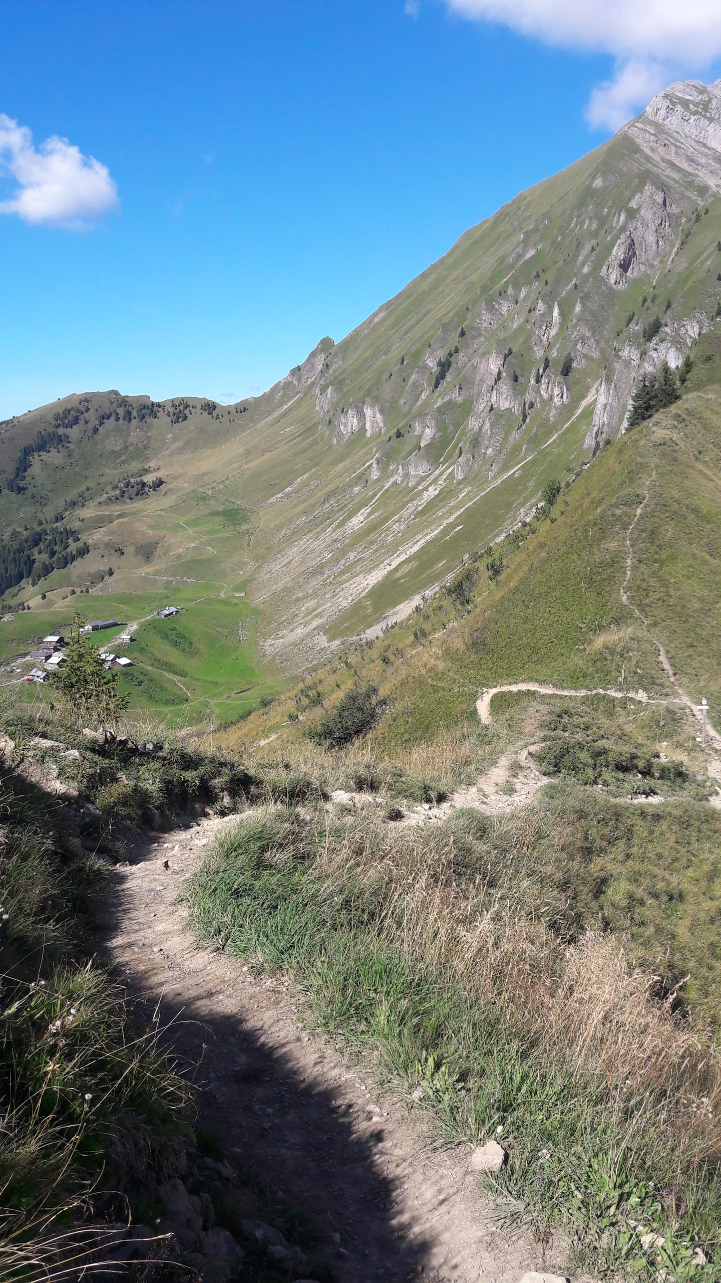 Photo n° 1 de l'avis de Patrice.a fait le 25/08/2017 à 03:51