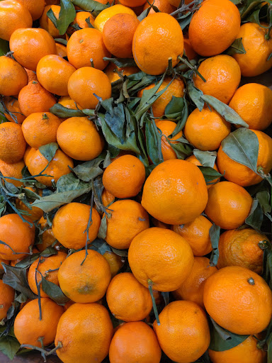 Supermarket «Best Market Northport», reviews and photos, 560 Larkfield Rd, Elwood, NY 11731, USA