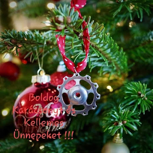 Comentarii opinii despre Eurocikli