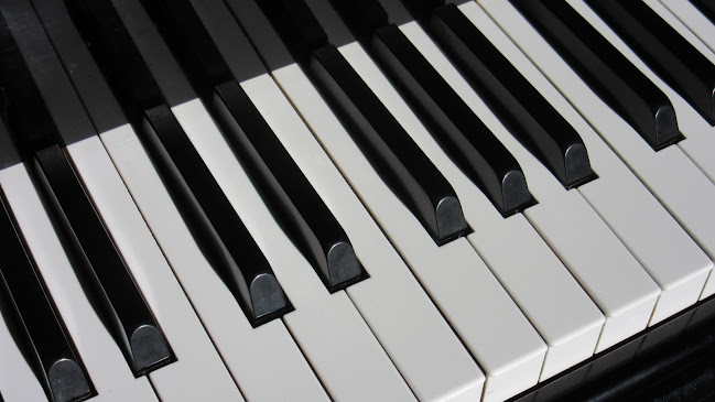 Rezensionen über Pianos Riviera Sàrl - Atelier de réparation - Accordeur de piano in Montreux - Musikgeschäft
