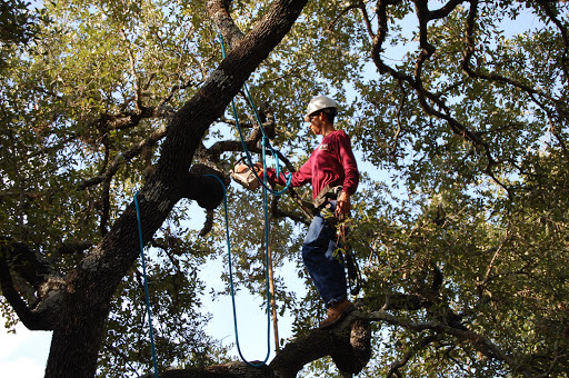 Pest Control Service «ABC Home & Commercial Services», reviews and photos