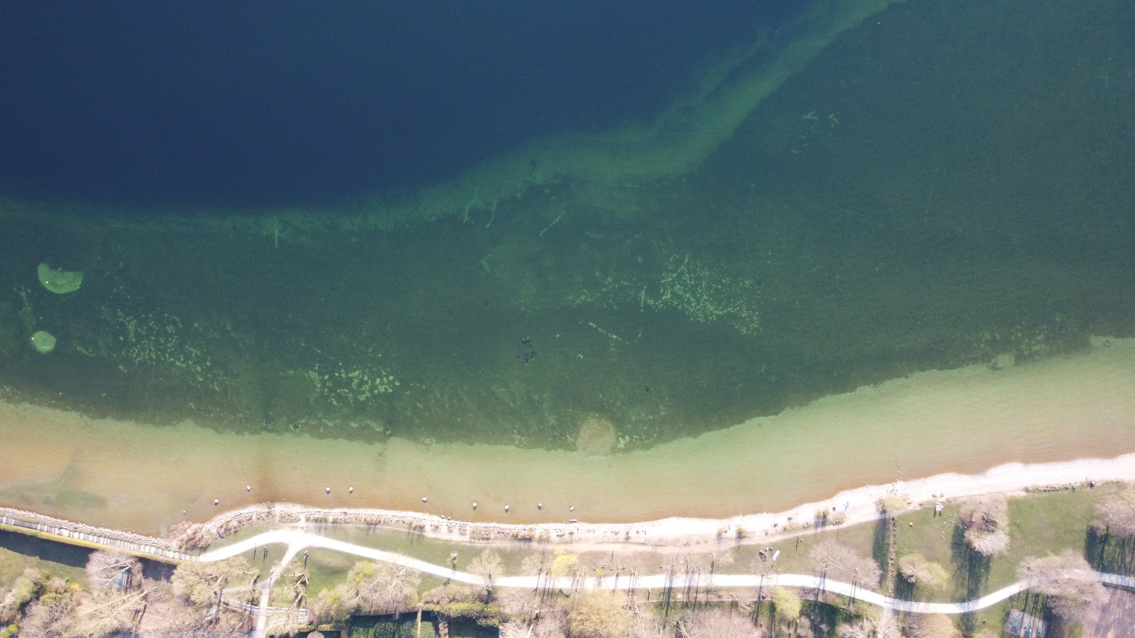 Starnberger strand的照片 带有碧绿色纯水表面