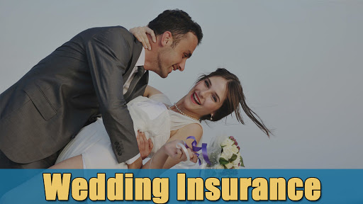 Hayek Insurance image