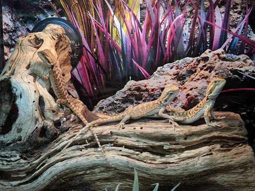 Pet Supply Store «PetSmart», reviews and photos, 1810 Cumming Hwy, Canton, GA 30114, USA