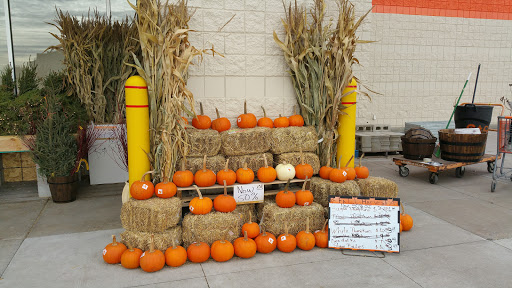 Home Improvement Store «The Home Depot», reviews and photos, 1943 W Broadway Ave, Forest Lake, MN 55025, USA