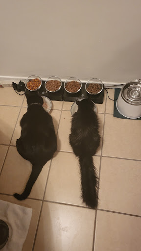 Pet Supply Store «Unleashed by Petco», reviews and photos, 600 Redondo Ave, Long Beach, CA 90814, USA