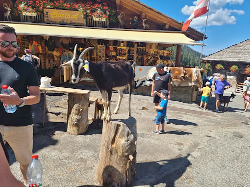 attractions Village des chèvres Montriond
