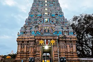 Shri Champakadhama Swamy Temple image
