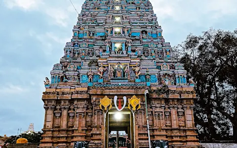 Shri Champakadhama Swamy Temple image