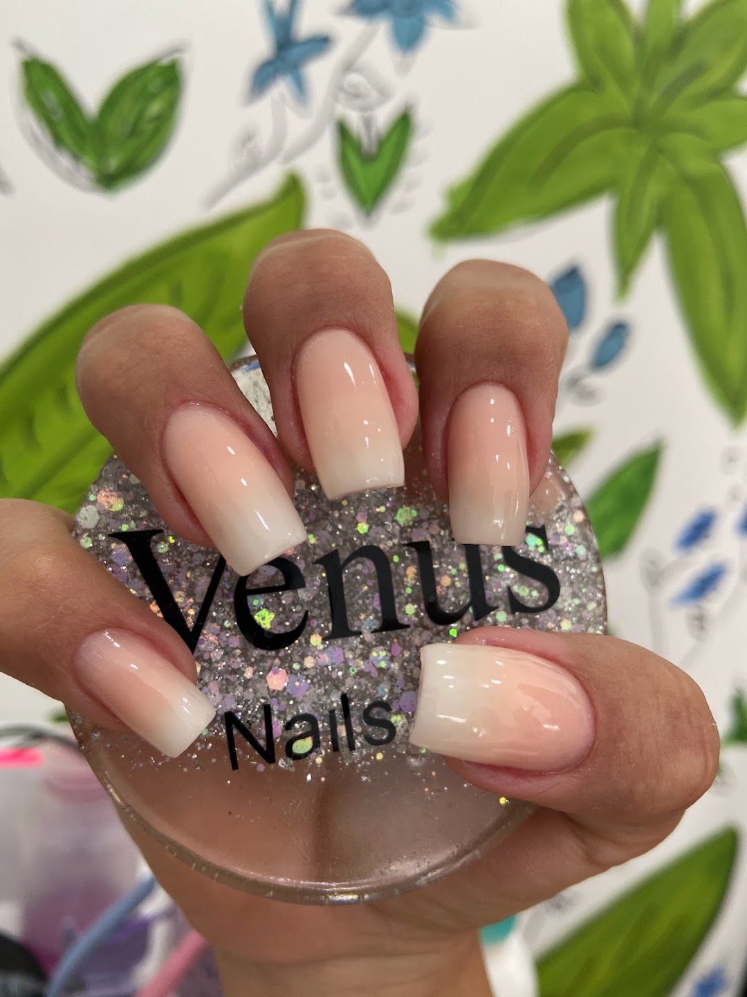 Venus nails Bar
