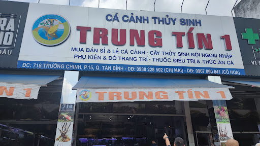 Top 2 cửa hàng cá kiểng Huyện A Lưới Thừa Thiên Huế 2022