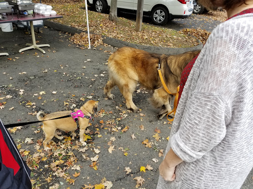 Pet Supply Store «Dogology», reviews and photos, 166 Albany Turnpike, Canton, CT 06019, USA