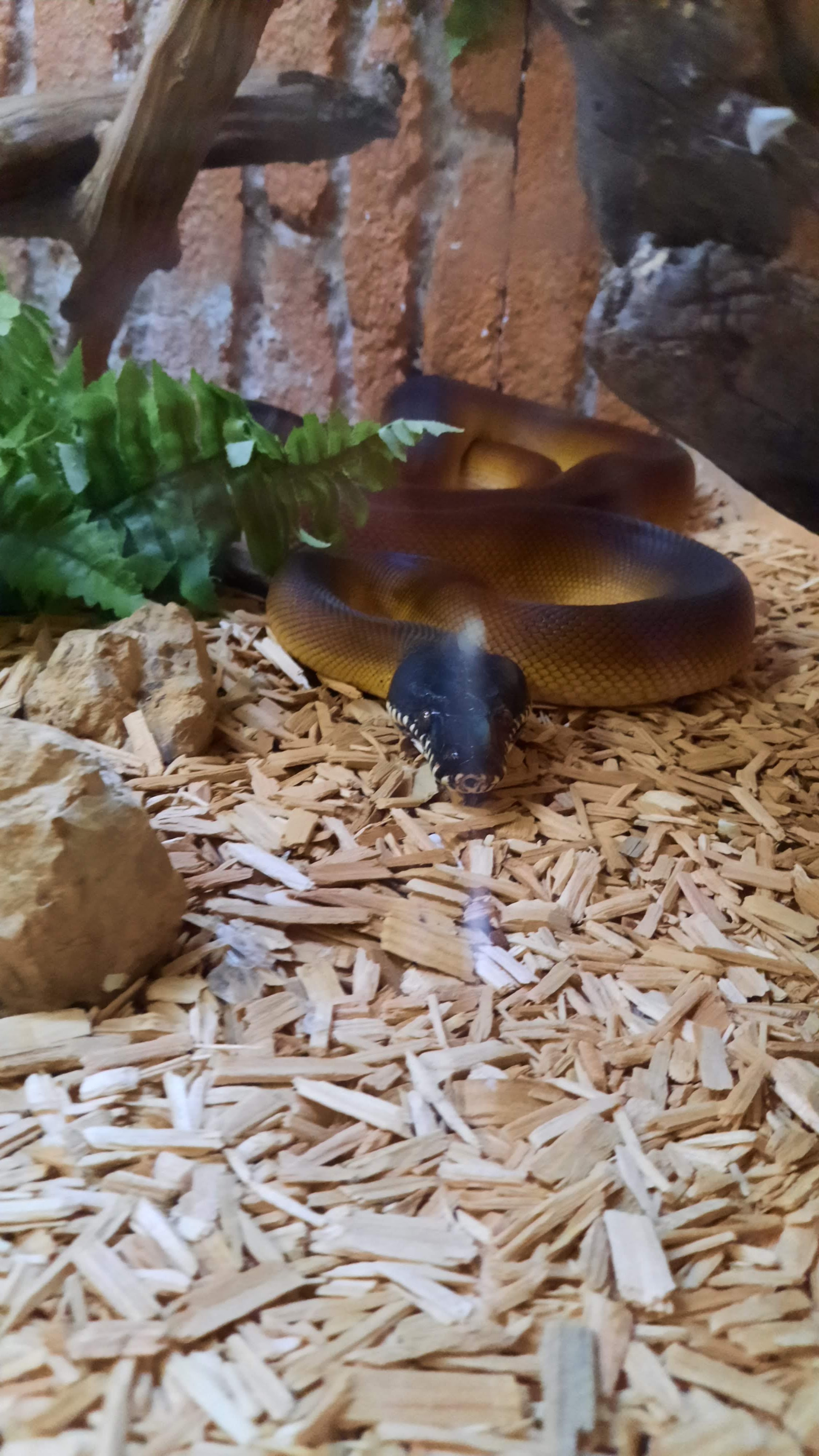 Photo n° 1 de l'avis de Kaya.a fait le 20/08/2022 à 07:05