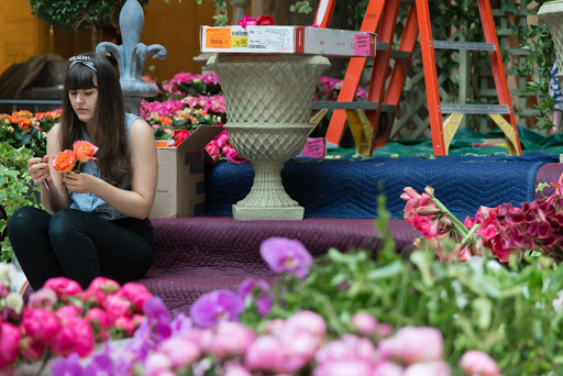 Florist «Trapp and Company», reviews and photos, 4110 Main St, Kansas City, MO 64111, USA