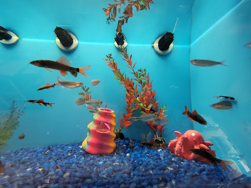 Pet Supply Store «PetSmart», reviews and photos, 3865 NY-31, Liverpool, NY 13090, USA