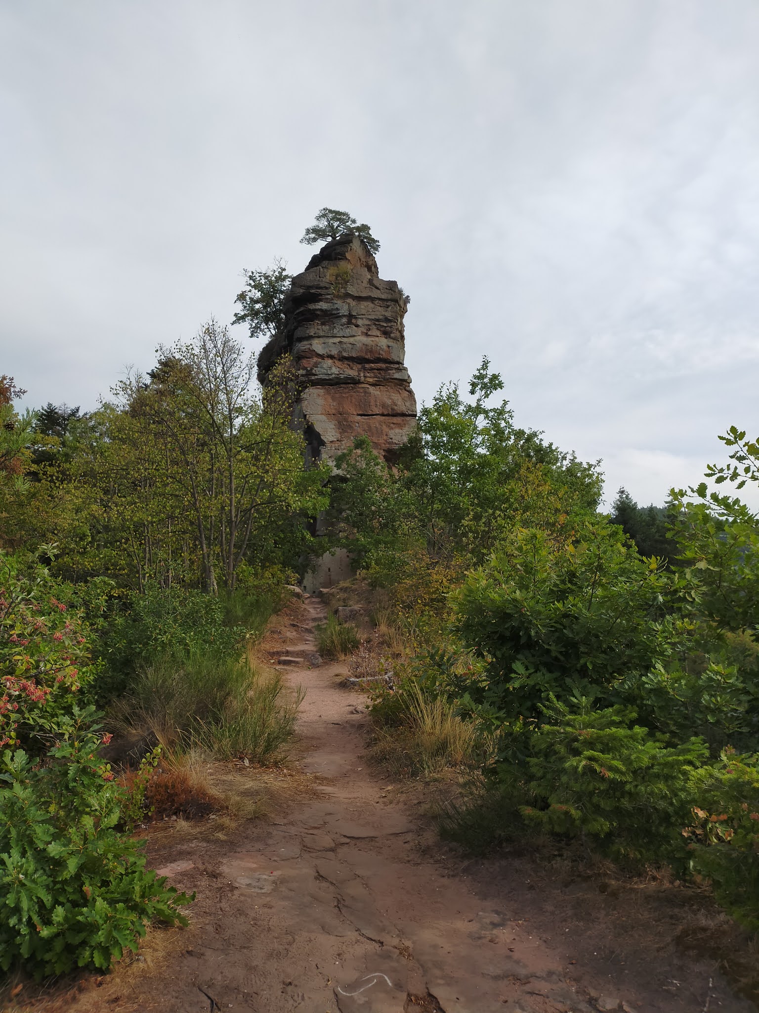Photo n° 4 de l'avis de Julien.o fait le 30/09/2020 à 16:17