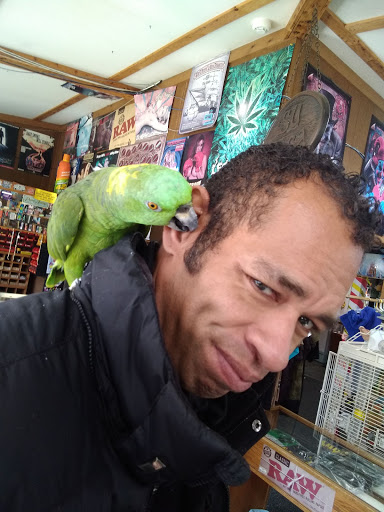 Boutique «Su Casa Boutique», reviews and photos, 1041 N Cedar St, Lansing, MI 48906, USA