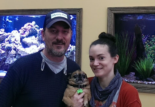 Pet Supply Store «Odyssey Pets», reviews and photos, 14999 Preston Rd #400a, Dallas, TX 75254, USA