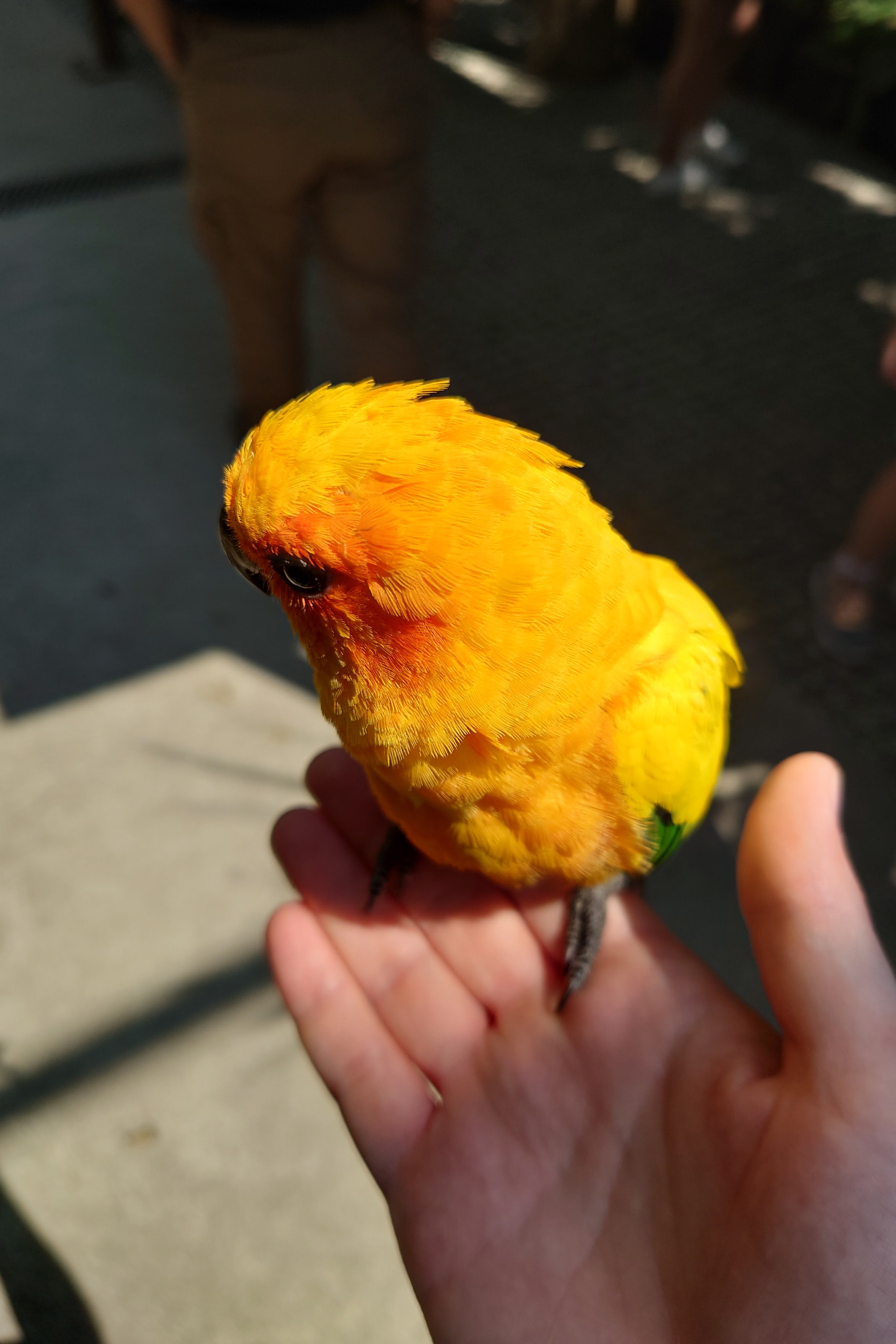 Photo n° 3 de l'avis de Guillaume. fait le 27/08/2022 à 19:31