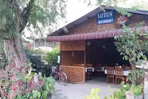 Lotus Restaurant image