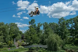 Screaming Raptor Zip Lines at the Creation Museum image