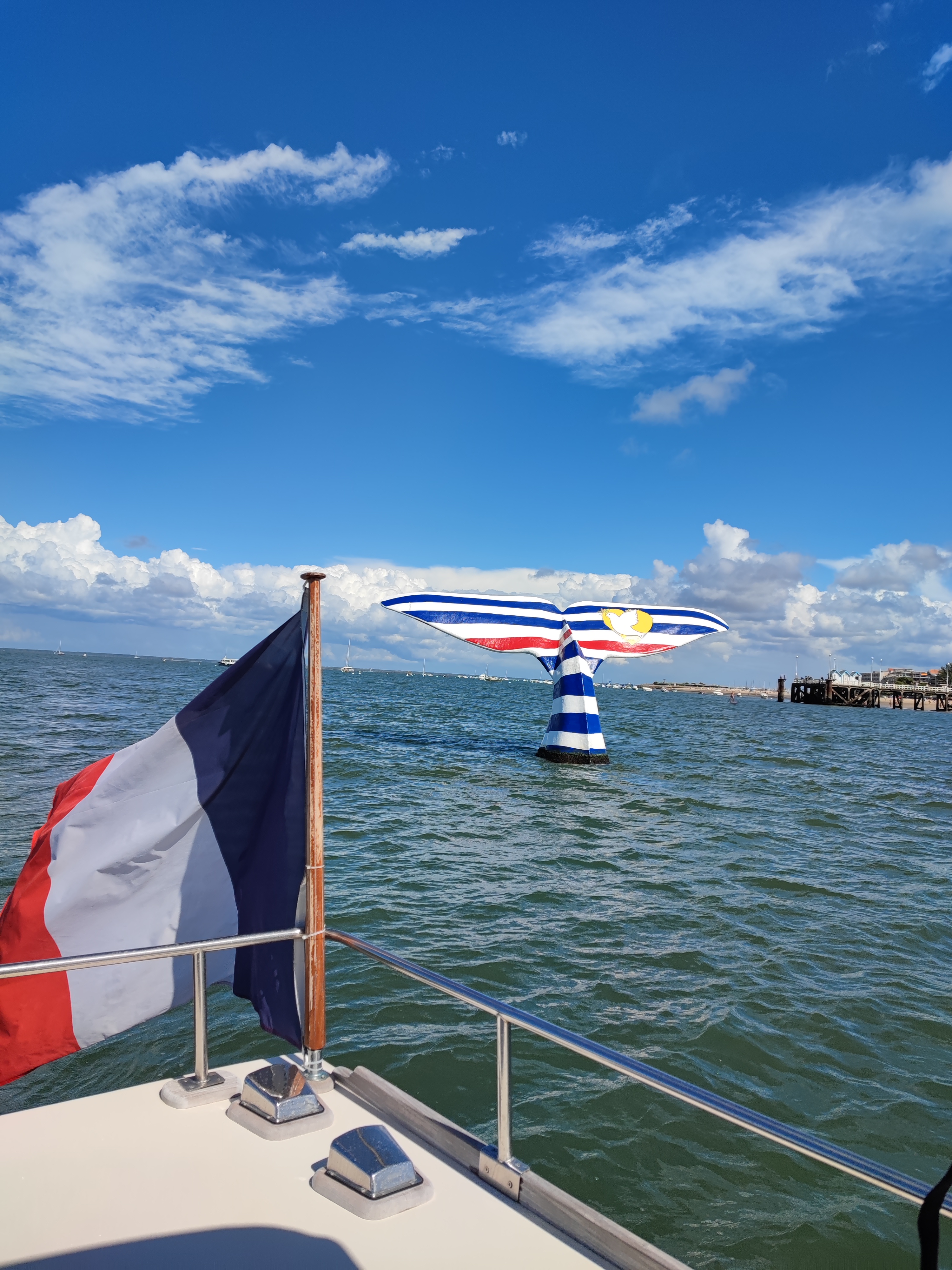 Photo n° 2 de l'avis de Marine. fait le 17/08/2022 à 17:26