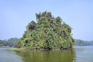 Mohamaya Lake Island image