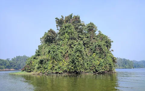 Mohamaya Lake Island image
