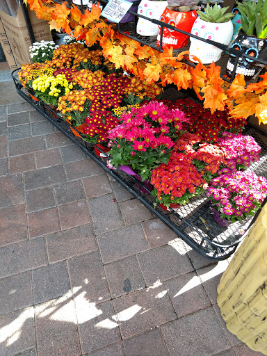 Shopping Mall «Cherry Orchard Shopping Center», reviews and photos, 300 - 390 W El Camino Real, Sunnyvale, CA 94087, USA