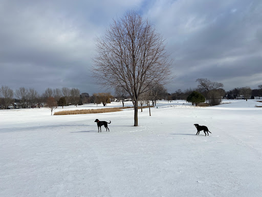 Golf Course «Highland National Golf Course», reviews and photos, 1403 Montreal Avenue, St Paul, MN 55116, USA