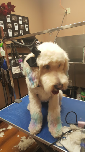 Pet Store «Pet Valu», reviews and photos, 2645 Shillington Rd, Sinking Spring, PA 19608, USA