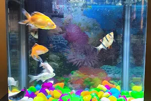 Sri Chera Anjaneeya Fish Aquarium image
