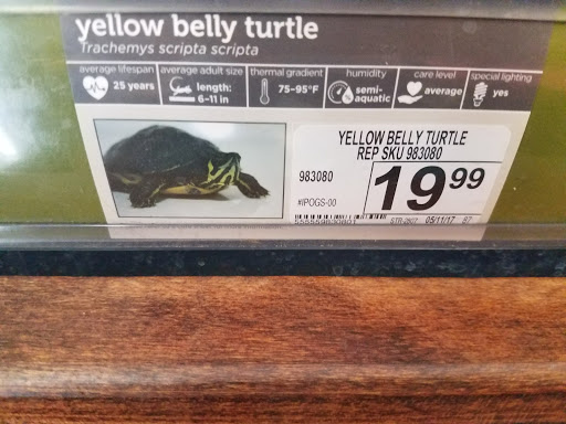 Pet Supply Store «Petco Animal Supplies», reviews and photos, 35860 Chester Rd, Avon, OH 44011, USA