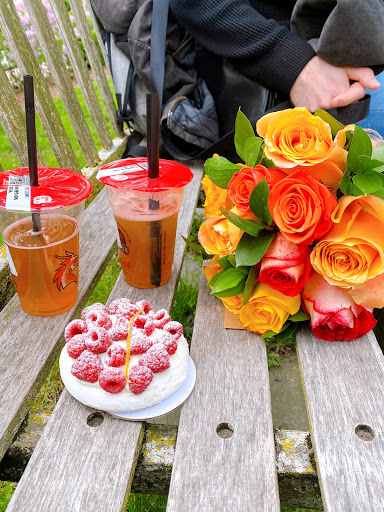 Florist «Central Square Florist», reviews and photos, 653 Massachusetts Ave, Cambridge, MA 02139, USA