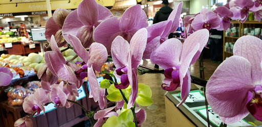 Grocery Store «Family Fresh Market», reviews and photos, 110 W 4th St, New Richmond, WI 54017, USA