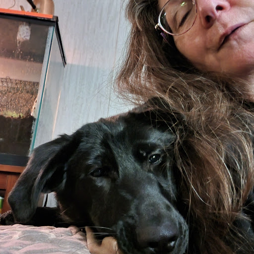 North Country Veterinary Referral Center image