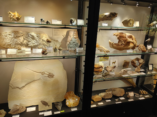 Natural History Museum «Rice Northwest Museum of Rocks & Minerals», reviews and photos, 26385 NW Groveland Dr, Hillsboro, OR 97124, USA