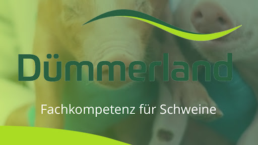 Tierarztpraxis Dümmerland Standort Gnoien unter Gnoien, 