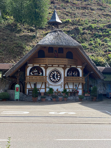 Travel Agency «Sun Travel Cruises and Tours», reviews and photos, 1111 Hawkins Blvd #4b, El Paso, TX 79925, USA