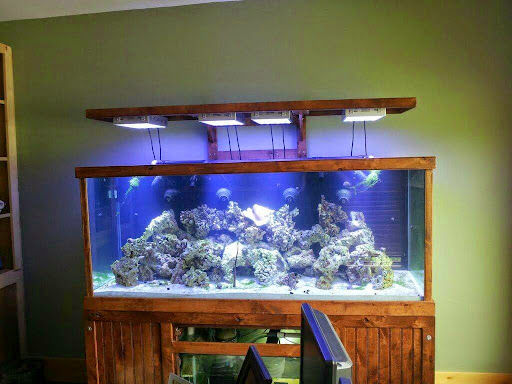 Pet Store «Crystal Clear Aquariums LLC», reviews and photos, 6325 Jackrabbit Ln, Belgrade, MT 59714, USA