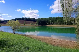Lac de La Chêneraie image
