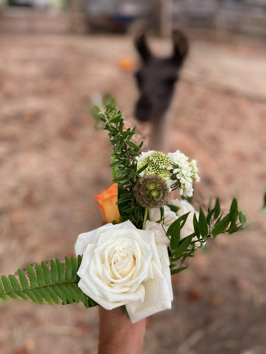 Florist «Foxgloves & Ivy Floral Design Studio», reviews and photos, 484 Moreland Ave NE, Atlanta, GA 30307, USA