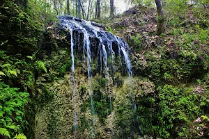 Falling Waters State Park image