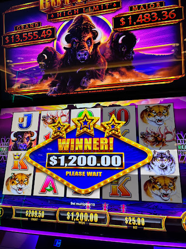 Hotel «Ameristar Casino Hotel East Chicago», reviews and photos, 777 Aldis Ave, East Chicago, IN 46312, USA