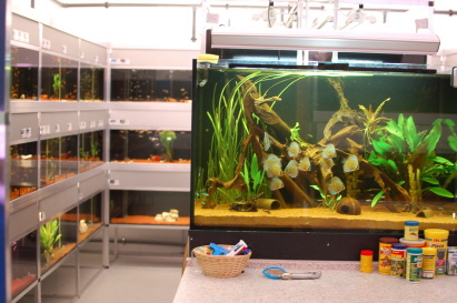 Aquaristikfachgeschäft - Zierfische und Zubehör unter Pollenfeld, 
