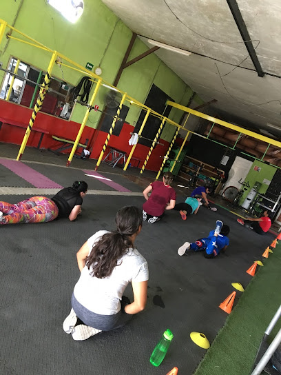 CENTRO DE ENTRENAMIENTO MFIT - Av. Michoacán & Río de La Plata, Oscar Garzón, 21137 Mexicali, B.C., Mexico