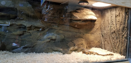 Aquarium «Universal Rocks», reviews and photos, 805 Shepherd Dr, Garland, TX 75042, USA