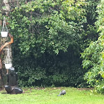 Photo n°3 de l'avis de Maria.o fait le 03/03/2024 à 15:10 sur le  The Cloister Hotel à Verbania