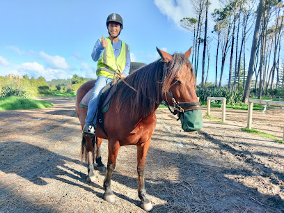 Muriwai Beach Horse Treks Auckland