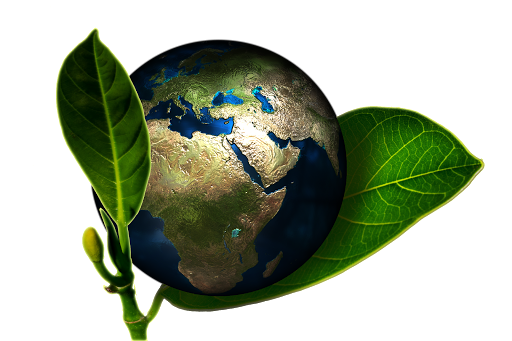 Logo da empresa - Trindade Ambiental Consultoria, Assessoria e Treinamentos